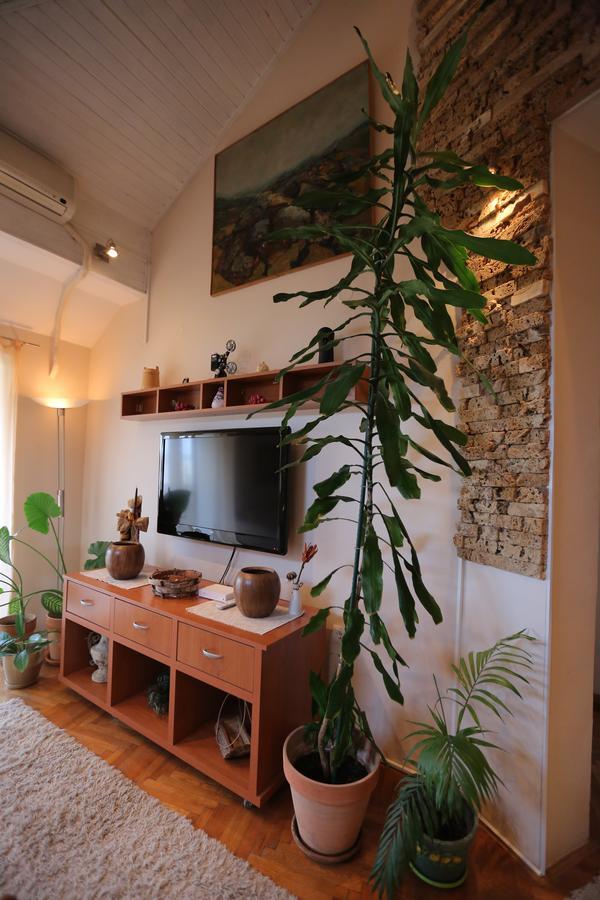 Magic Apartment Нови Сад Екстериор снимка